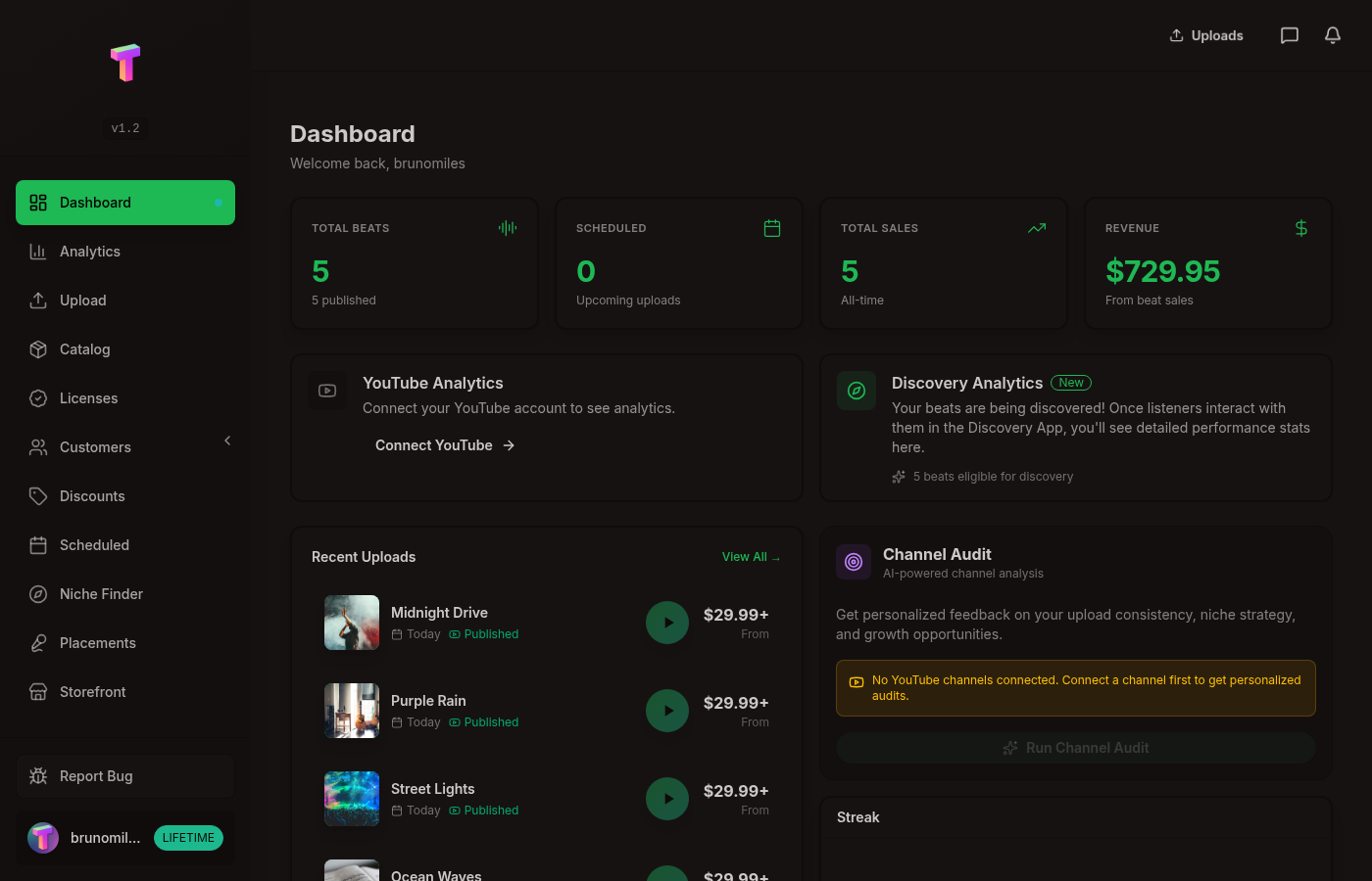 TYPEBEAT.FUN Dashboard