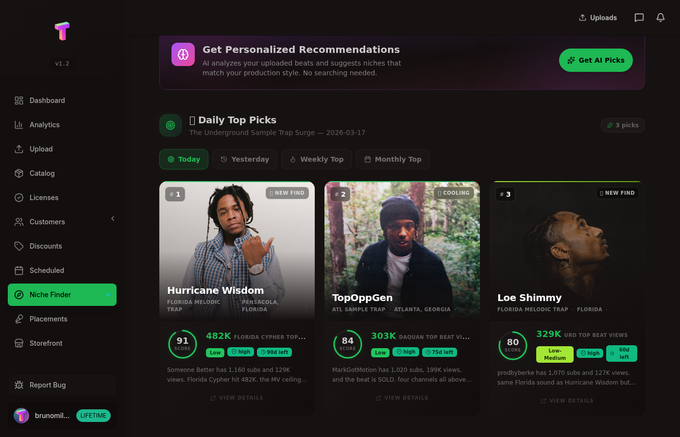 TYPEBEAT.FUN Niche Finder