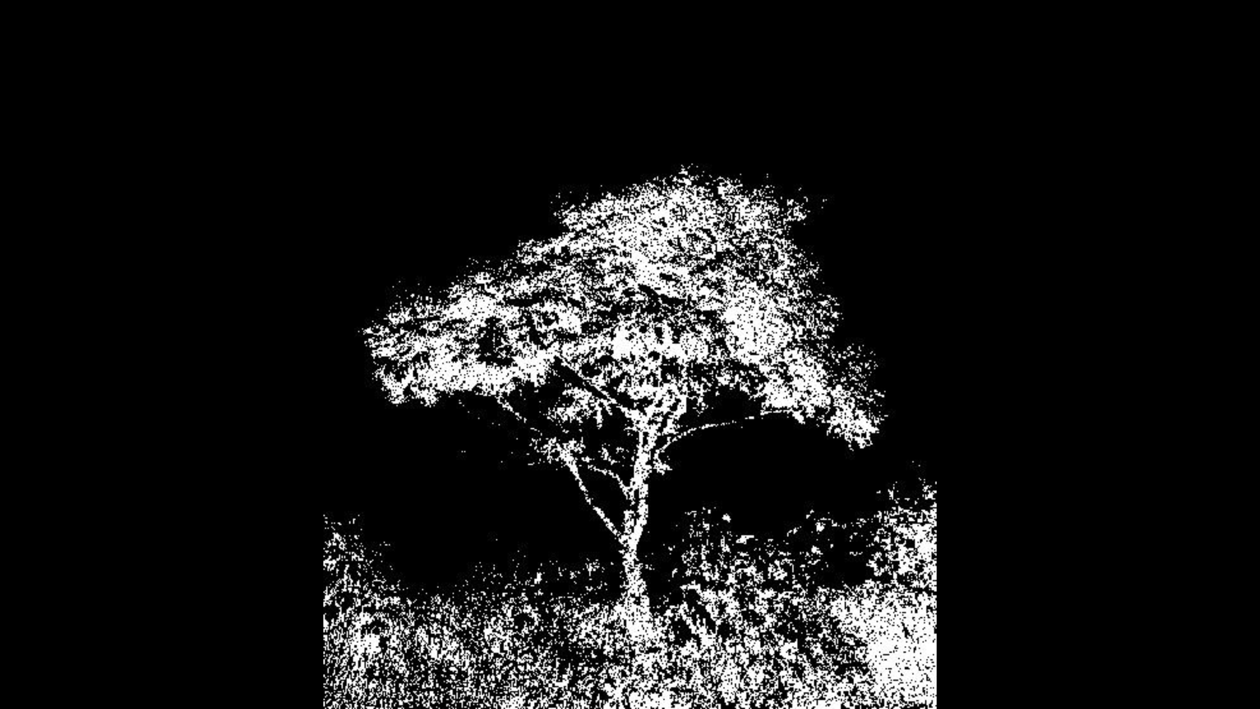 LATE NIGHT FOREST (Destroy Lonely x Playboi Carti type beat)